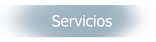 SERVICIOS